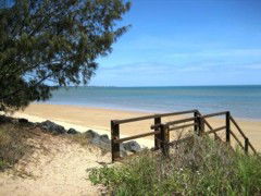Coconut Palms On The Bay - Queensland Tourism 2