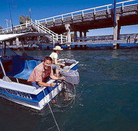 Comfort Inn Mandurah - QLD Tourism