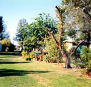 Condamine River Caravan Park - QLD Tourism
