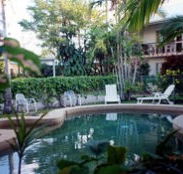 Coral Reef Holiday Apartments - QLD Tourism