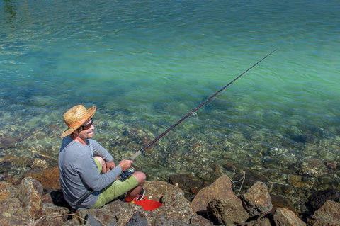 Crescent Head Holiday Park - QLD Tourism 4