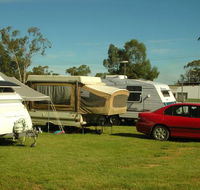 Crocodile Caravan Park - QLD Tourism
