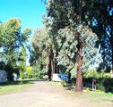 Cudal Caravan Park - QLD Tourism