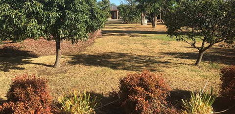 Quirindi Sunflower Motor Inn - QLD Tourism 2