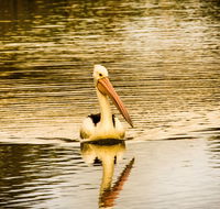 River Shack Rentals - Brenda Park - QLD Tourism