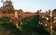 Emmas Cottage Vineyard - thumb 1