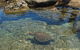 1770 Castaway Survivor Pty Ltd  - thumb 4