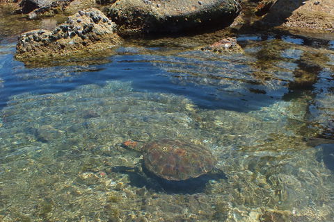 1770 Castaway Survivor Pty Ltd  - QLD Tourism 4