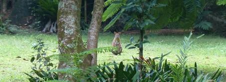 Solitude Retreat - Queensland Tourism 1