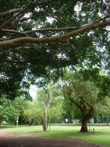 Discovery Holiday Parks - Darwin - QLD Tourism 10