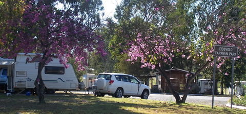 Eidsvold Caravan Park - QLD Tourism 1
