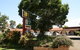 Forest Lodge Motor Inn & Restaurant - thumb 5
