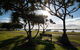 Golden Shores Holiday Club - thumb 0