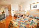 Haven Glebe, Sydney - QLD Tourism 3