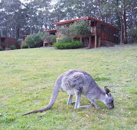 Jenolan Caves Cottages - QLD Tourism