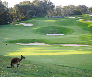 Joondalup Resort - QLD Tourism 0