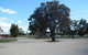 Keith Caravan Park - thumb 0