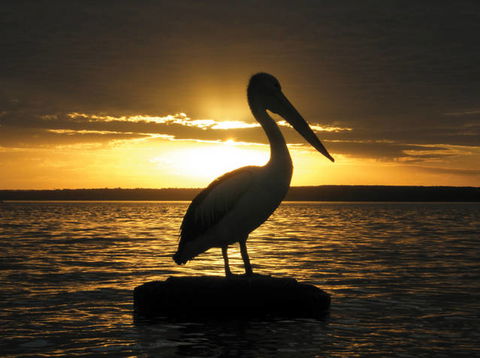 King George Retreat - QLD Tourism 1