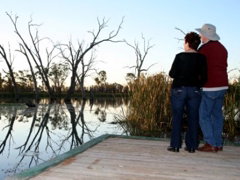 Kingston-On-Murray Caravan Park - QLD Tourism 2