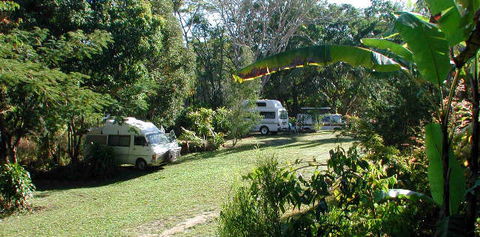 Kuranda Rainforest Accommodation Park - QLD Tourism 0