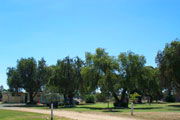 Lockhart Caravan Park - Queensland Tourism 0