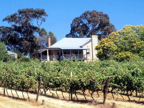 Longview Vineyard - QLD Tourism 0