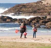 Merry Beach Caravan Resort - QLD Tourism