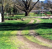Mongans Bridge Camping Park - QLD Tourism