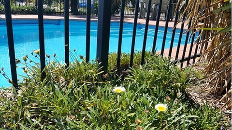 Motel Carnarvon - Queensland Tourism 6