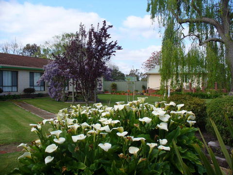 Mount Barker Valley Views Motel And Chalets - QLD Tourism 1