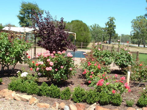 Newell Motor Inn - QLD Tourism 0