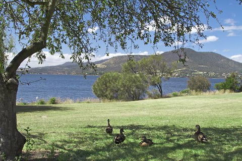 Riverfront Motel & Villas - QLD Tourism 0