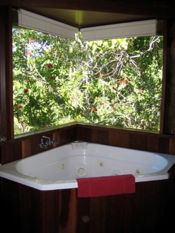 Rose Gums Wilderness Retreat - QLD Tourism 3