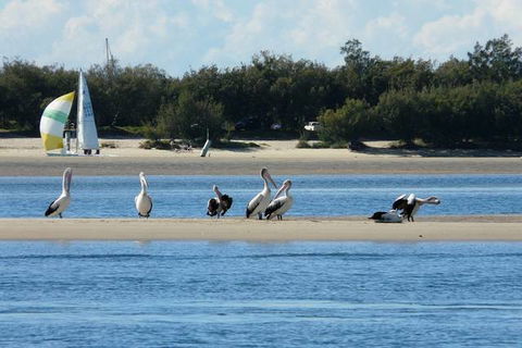 Sandcastles On The Broadwater - Queensland Tourism 4