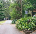 Tamborine Mountain Caravan  Camping - QLD Tourism