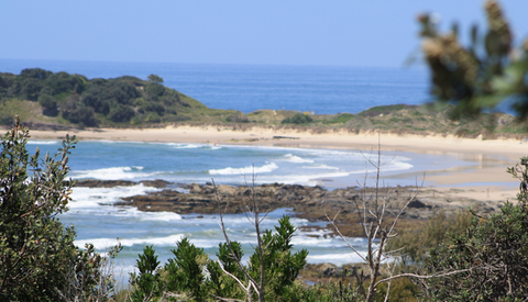 The Bowlo Holiday Cabins - QLD Tourism 0