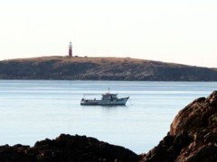 The Cove Holiday Village - QLD Tourism 4