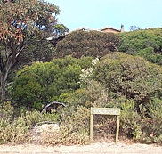 The Honeymyrtle Cottage - QLD Tourism