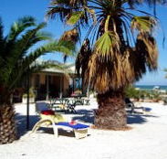 Tradewinds Seafront Apartments - QLD Tourism