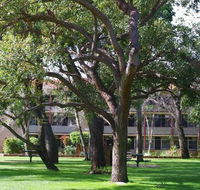 Trinity - QLD Tourism