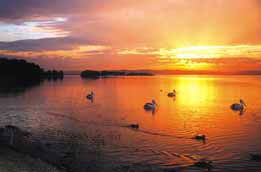 Two Shores Holiday Village - QLD Tourism 4