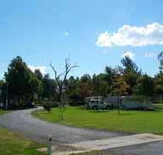 Wairo Beach Holiday Park - QLD Tourism