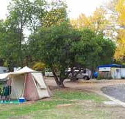Wedderburn Pioneer Caravan Park - QLD Tourism
