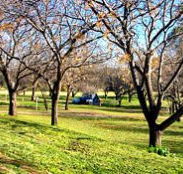 Wellington Caves Caravan Park - QLD Tourism