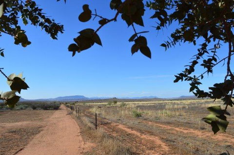 Windana Cottages - QLD Tourism 5