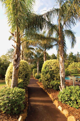 Windmills Break - QLD Tourism 7