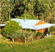 Cinnamon Coloureds Farmstay - Queensland Tourism