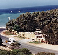 Denham Seaside Tourist Village - QLD Tourism