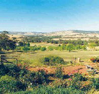 Pecan Hill Bed and Breakfast - QLD Tourism