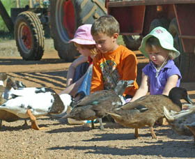 Pump Hill Farm Cottages - QLD Tourism 2
